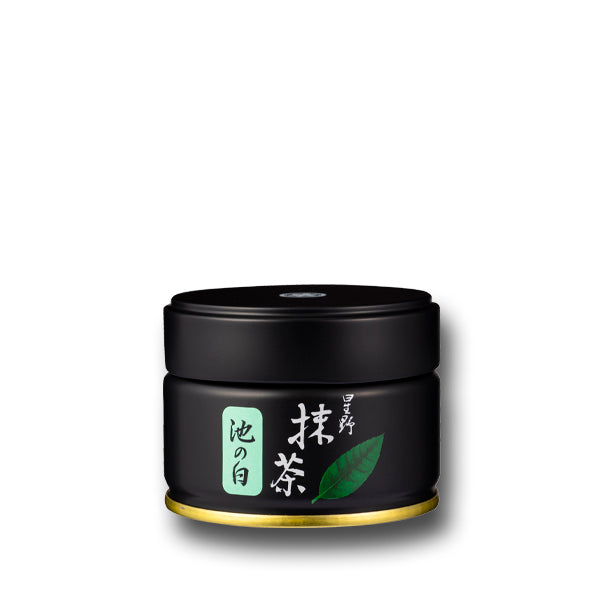 Hoshino Seichaen - Ike no Shiro Matcha