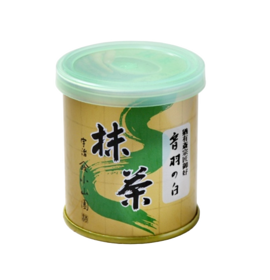 Yamamasa Koyamaen - Kamio no Shiro (special matcha)