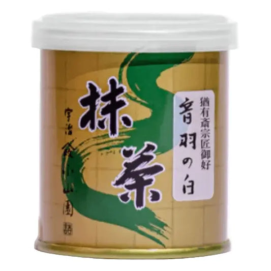 Yamamasa Koyamaen - Otowa no Shiro (special matcha)
